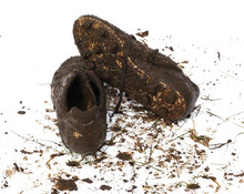 Muddy Football Shoes After The Game