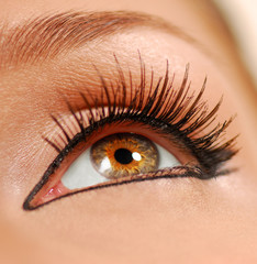 beauty close eye.