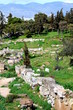 ancient ruins of buildings around the acropolis