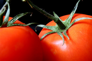 two ripe red tomatoes