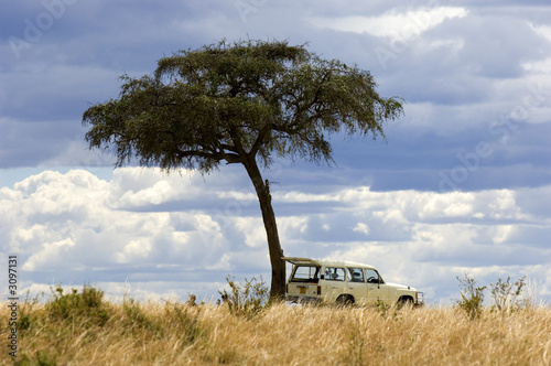 Plakat na zamówienie 4x4 dans la savanne