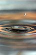 canvas print picture water drop and water rings