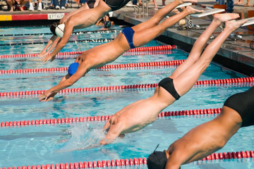 Wall Mural - swim finals