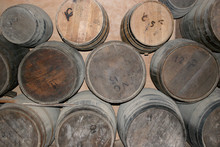 Barrels Of Fun