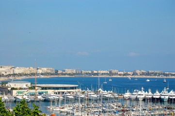 Wall Mural - cannes festival du film