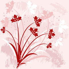 floral backgrounds - illustration