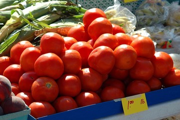 tomatoes for sale