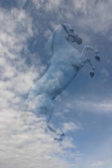  horse in the sky: pegasus