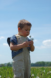 little boy on meadow