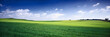 Leinwandbild Motiv russia summer landscape - green fileds, the blue sky and white c