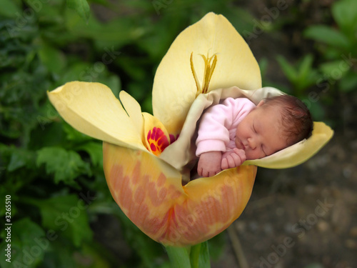 Foto-Plissee - new born baby (von Miroslava Arnaudova)