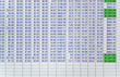 spreadsheet data on a computer screen.