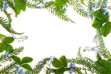 Wall Mural - forget-me-not (floral ornament)