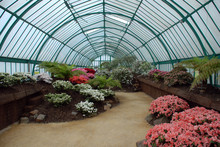 Royal Greenhouse