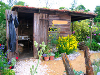 wooden cabin