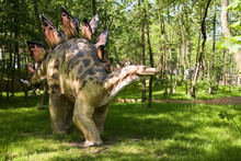 Stegosaurus Armatus
