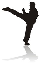 Silhouette Of Martial Arts