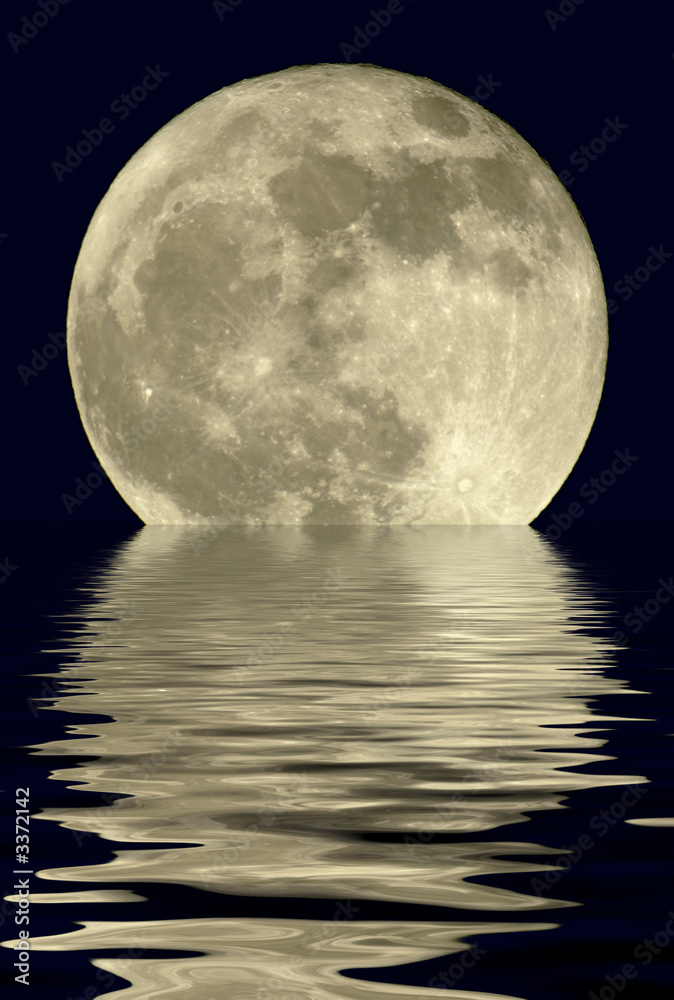 Foto-Doppelrollo - 2400mm true full moon