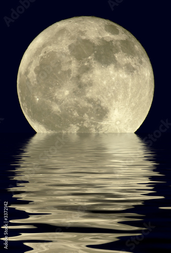 Foto-Kassettenrollo - 2400mm true full moon (von Carolina K Smith MD)