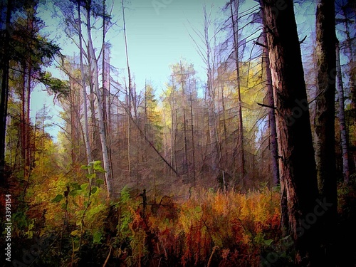 Nowoczesny obraz na płótnie in a wood.