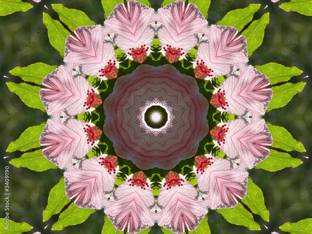 kaleidescope of flowers