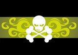 skull totenkopf pirat