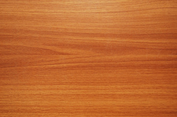 Wall Mural - pattern of wood -  can be used as background