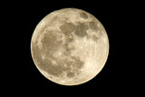 Fototapeta Dinusie - luna llena