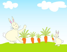 Rabbits And Carrots