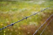 Barbed_wire_02