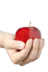 Wall Mural - hand holding a red apple