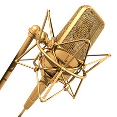 Wall Mural - gold professional microphone