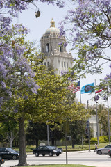 Canvas Print - beverly hills in spring