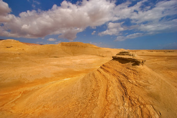 Poster - in the autumn in desert