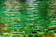 Green water in the mountain lake