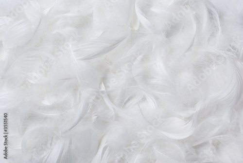 Naklejka na meble Feathers background