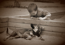 Aged Photo Of Little Boy Playing With The Puppy Outdoors