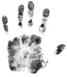 Vector Handprint