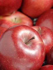 Wall Mural - Bunch of apples