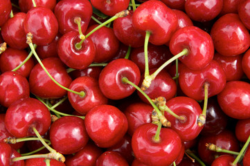 Wall Mural - cherries