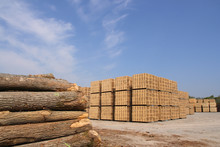 Sawn Trees And Wooden Packing Crates