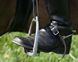 Boot, spur and stirrup