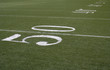 50-yard line on a green American football field.