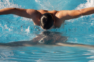 Wall Mural - photo of a swimmer doing spring in swimming pool