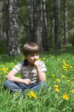 Fototapeta Dmuchawce - Young boy sitting in the midle of the blossoming meadow