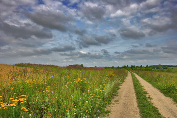 Wall Mural - landscape with green meadow and road under many clouds