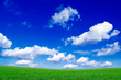 The green field and beautiful white clouds.