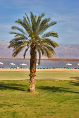 Canvas Print -  A medical beach on the Dead Sea in Israel