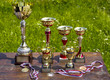 Sporting awards standing on the table