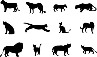 cats silhouettes